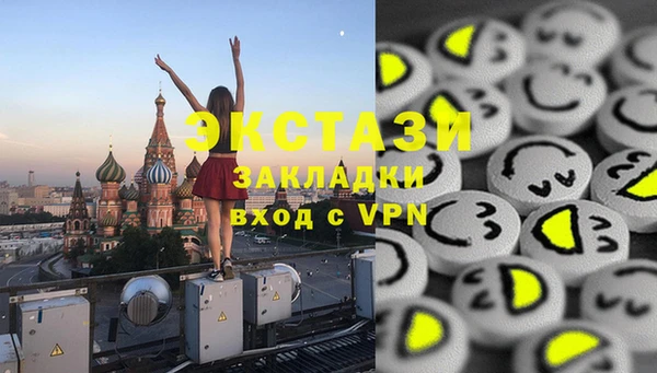 индика Осташков