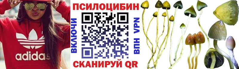Галлюциногенные грибы MAGIC MUSHROOMS  где можно купить наркотик  Приморск 