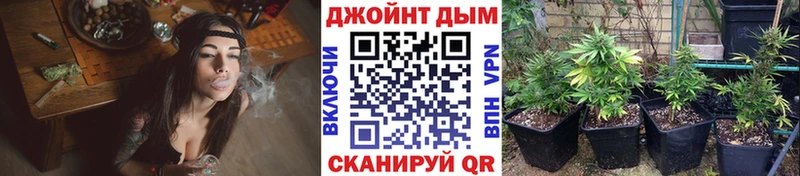 Канабис гибрид  Приморск 